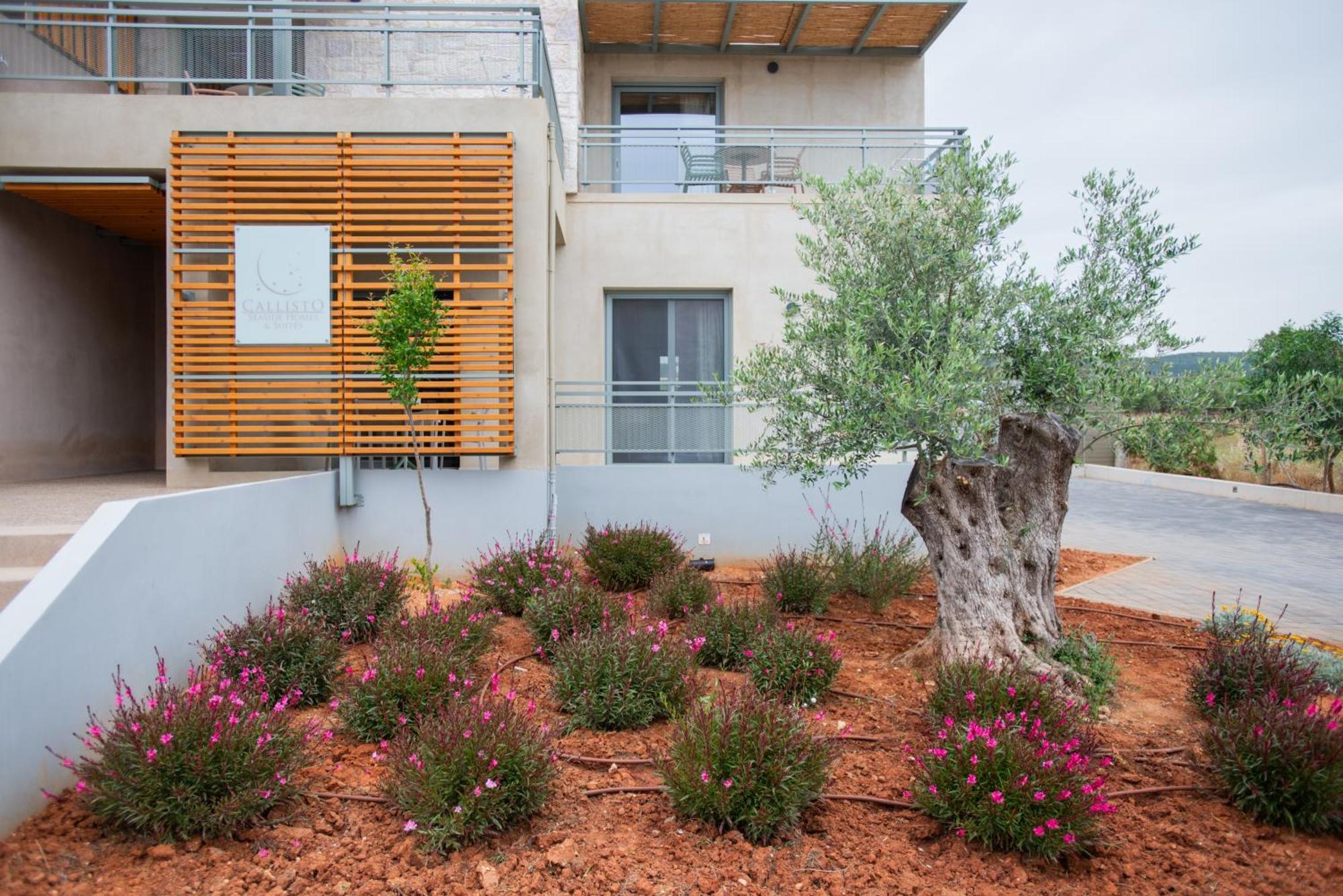 Callisto Seaside Homes & Suites Marathopoli Exterior foto